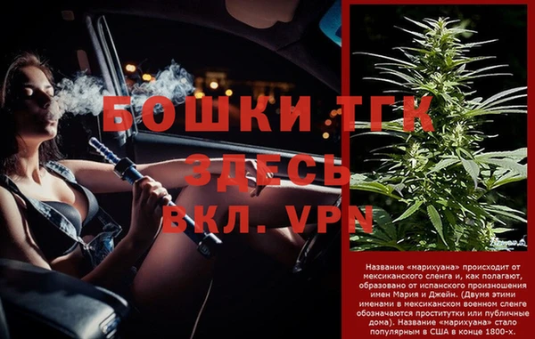 PSILOCYBIN Арсеньев