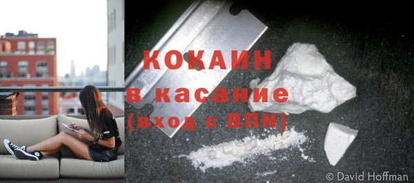 PSILOCYBIN Арсеньев