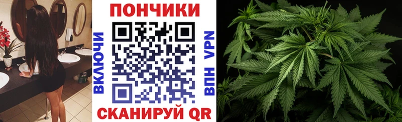 Купить закладки  Елизаветинская  Конопля Amnesia 